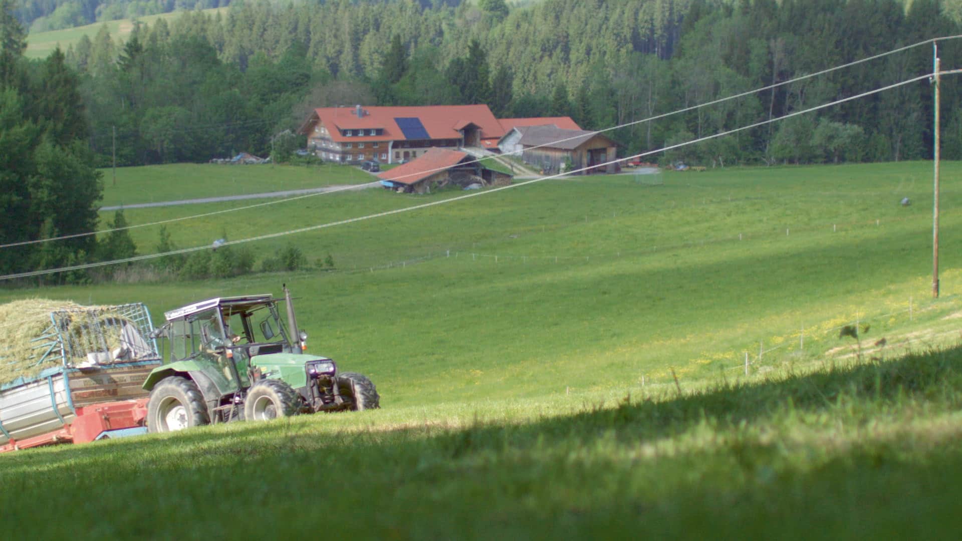 lightspotsvorher digital production