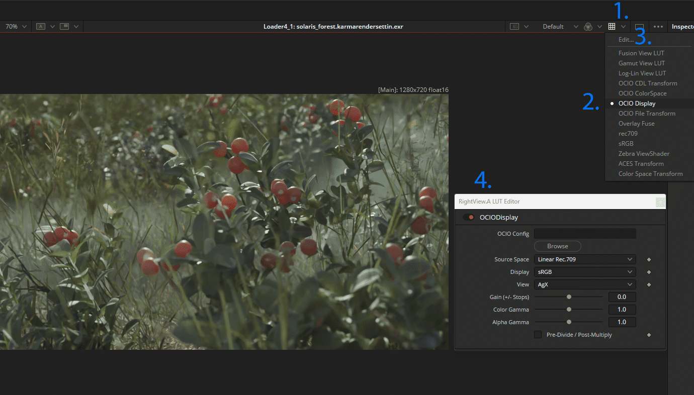 closeup of green plants with red berries in a digital editing software interface digital production Close-up of green plants with red berries in a digital editing software interface.