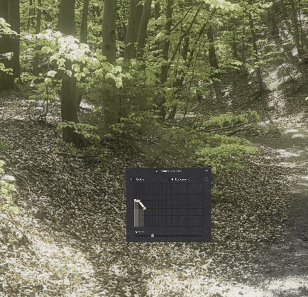 a forest path winding through trees with green leaves and fallen leaves on the ground an adjustable grid overlay with a slider appears at the center of the image digital production A forest path winding through trees with green leaves and fallen leaves on the ground. An adjustable grid overlay with a slider appears at the center of the image.