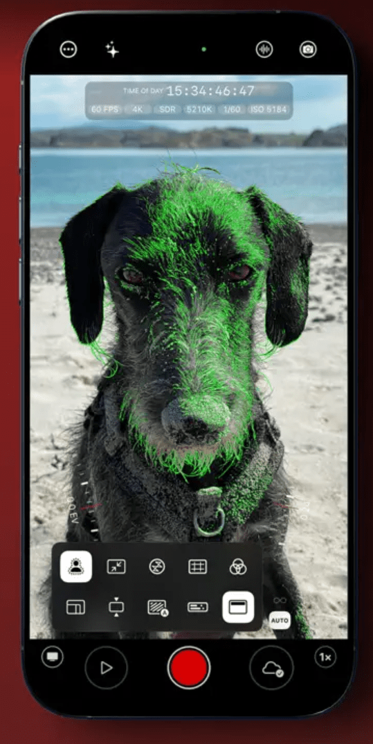 a smartphone displaying a closeup photo of a dog with vibrant green highlights on its fur set against a sandy beach background the phones screen shows various camera settings and a record button digital production A smartphone displaying a close-up photo of a dog with vibrant green highlights on its fur, set against a sandy beach background. The phone's screen shows various camera settings and a record button.