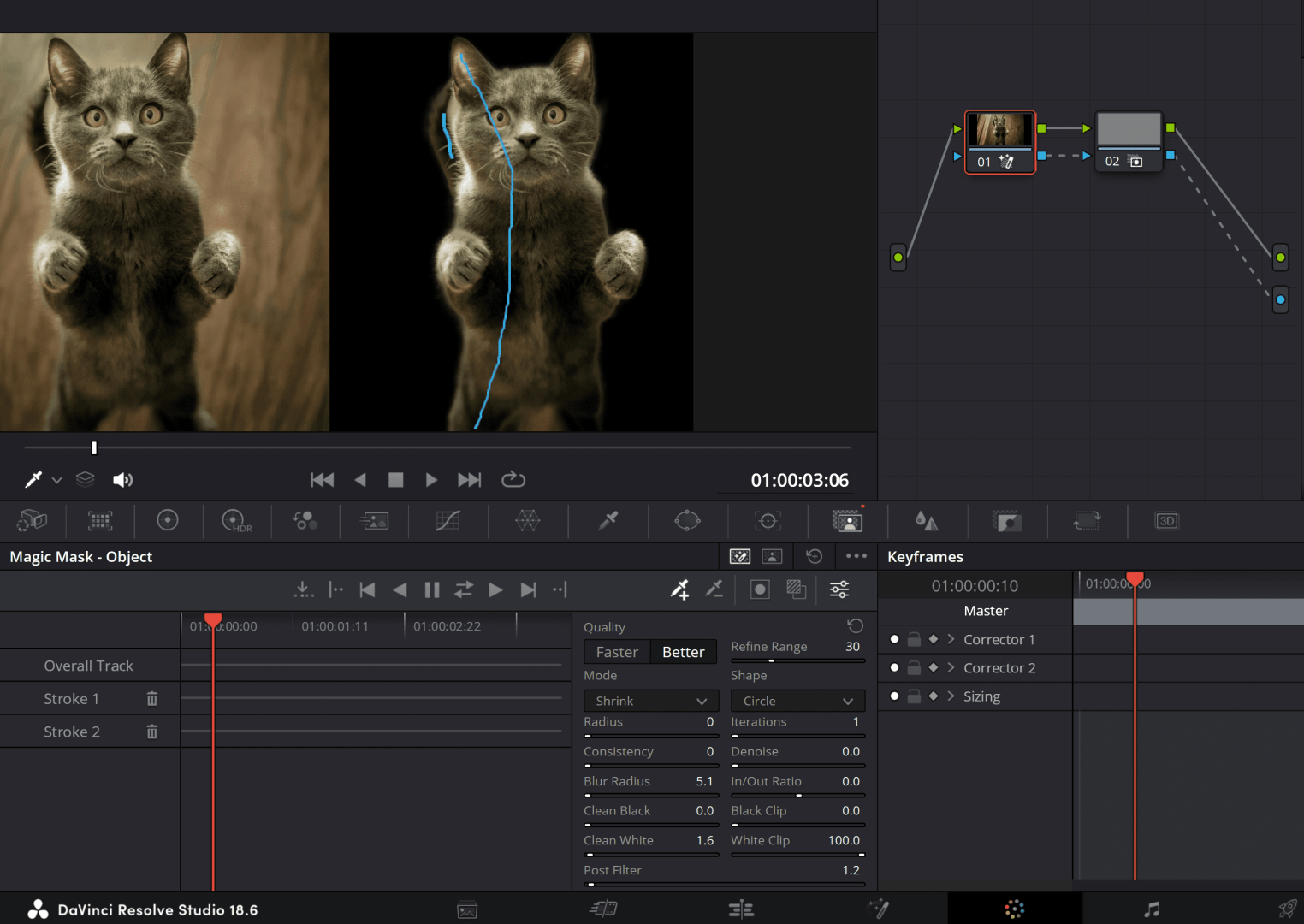 magicmask digital production Die magische Maske – hier wurde das rechte Bild, die süße Katze von Marko Blazevic, auf Pexels zur Verfügung gestellt, mit zwei Strichen maskiert (im Modus „better“). Im Node-Fenster (rechts) ist der Alpha-Ausgang zu sehen (Rechtsklick und „Add Alpha Output“), unten die Masken- und tracking-Optionen (zum Tracken eines Clips auf die Play-Buttons klicken).