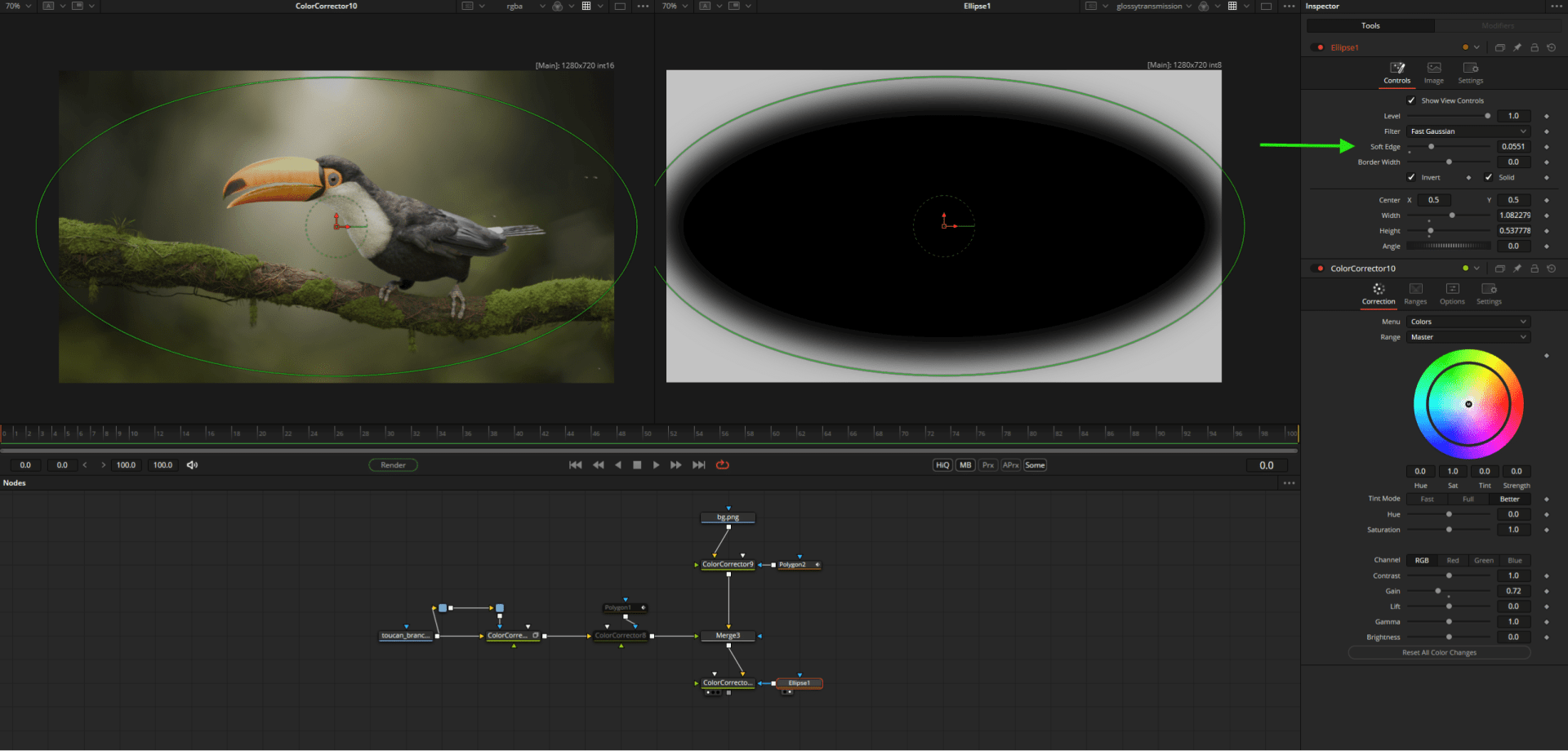 software interface displaying a toucan image and editing tools digital production Software interface displaying a toucan image and editing tools