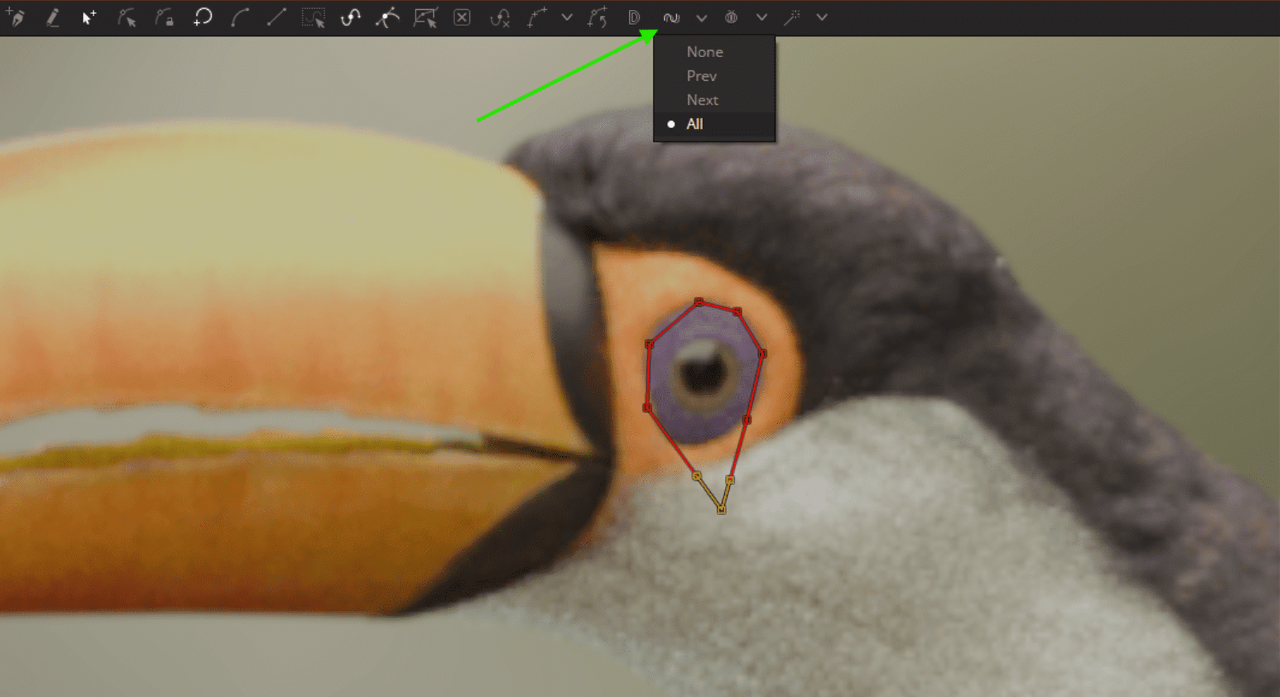 closeup of a birds head with an orange beak and eye detail digital production Close-up of a bird's head with an orange beak and eye detail